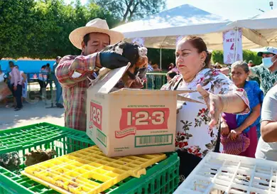 Llaman a retomar la producci&oacute;n de traspatio