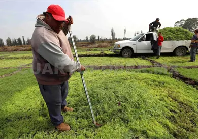 Sequ&iacute;a reduce la roducci&oacute;n agr&iacute;cola