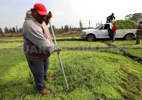 Sequ&iacute;a reduce la roducci&oacute;n agr&iacute;cola