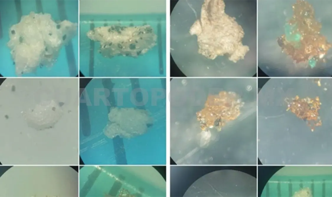 Resultados de las muestras en búsqueda del microplástico. Cortesía