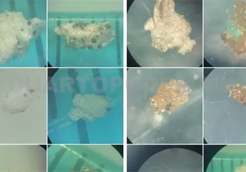 Micropl&aacute;sticos, ya son parte del ecosistema