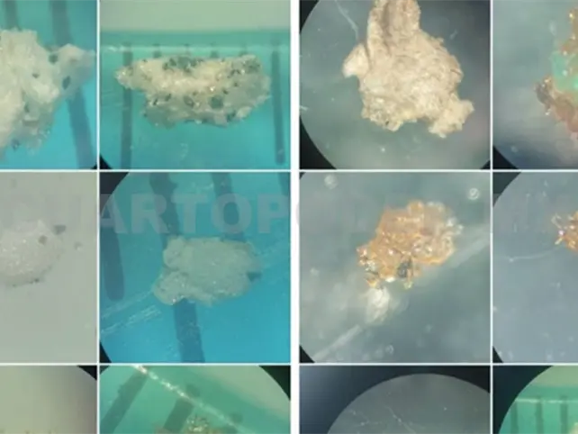 Micropl&aacute;sticos, ya son parte del ecosistema