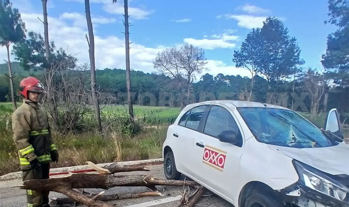 El árbol se desplomó sobre el Nissan March de la empresa Oxxo. CP