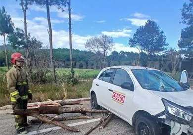Árbol cae sobre automóvil en la carretera a Teopisca Árbol cae sobre automóvil en la carretera a Teopisca