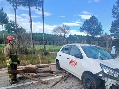 Árbol cae sobre automóvil en la carretera a Teopisca Árbol cae sobre automóvil en la carretera a Teopisca