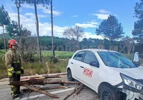 &Aacute;rbol cae sobre autom&oacute;vil en la carretera a Teopisca