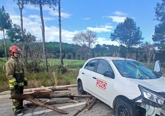 Árbol cae sobre automóvil en la carretera a Teopisca Árbol cae sobre automóvil en la carretera a Teopisca