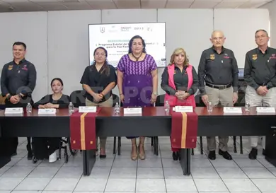 Impulsa Poder Judicial educaci&oacute;n parental