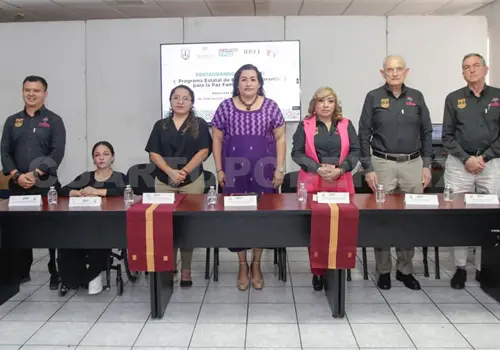 Impulsa Poder Judicial educaci&oacute;n parental