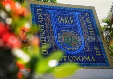 Alcanzar&aacute;n cifra hist&oacute;rica de acad&eacute;micos en el SNII