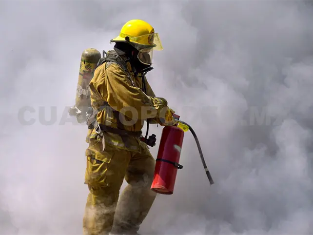Bomberos, una profesión que salva vidas todo el año Bomberos, una profesión que salva vidas todo el año