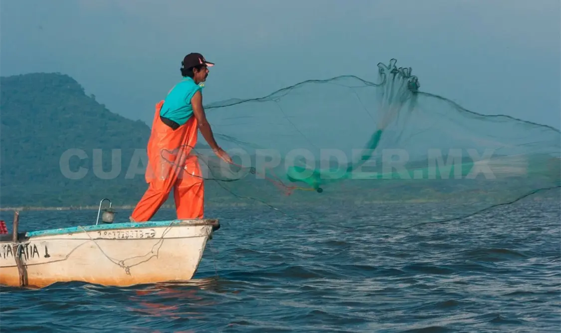 La pesca en Chiapas ha enfrentado dificultades como el cambio climático y se suma esta situación. Diego Pérez / CP