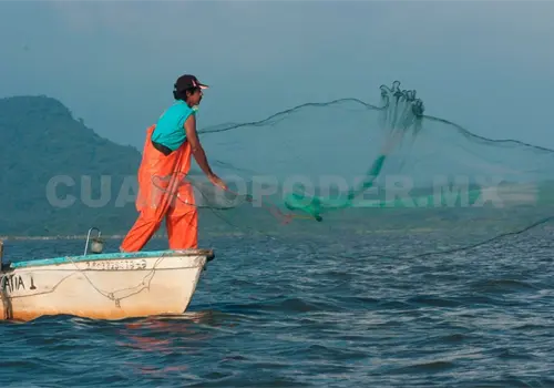 Barcos del Norte pescan en costas de la entidad