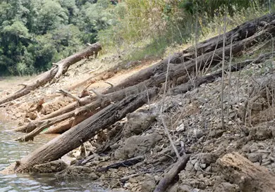 Urgen acciones en Las Flores por alta erosi&oacute;n