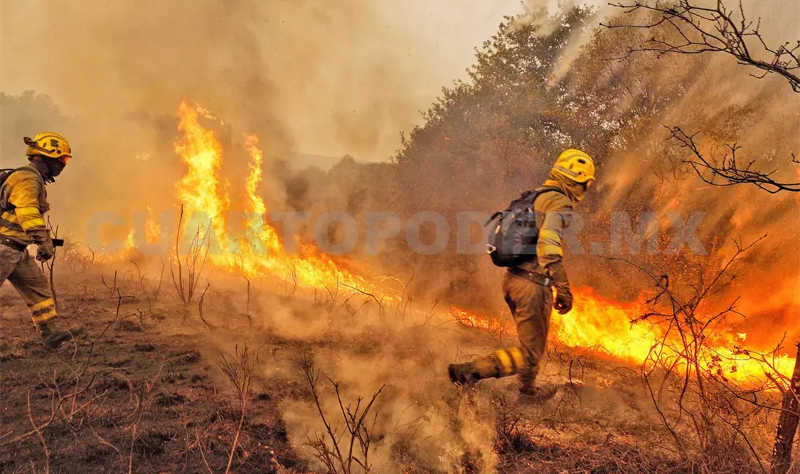 El Cañón del Sumidero es uno de los terrenos más susceptibles a incendios forestales. Diego Pérez / CP