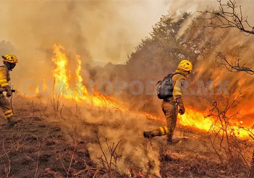 Con IA buscan hallar riesgo de incendios