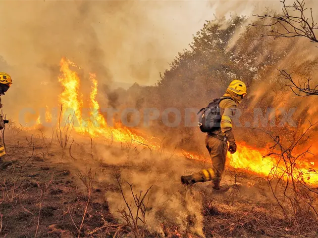 Con IA buscan hallar riesgo de incendios