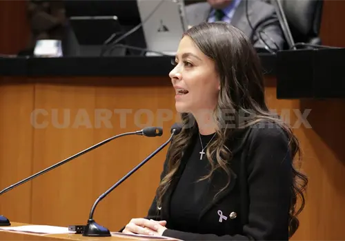 El Senado respalda a la presidenta: Sasil de Le&oacute;n