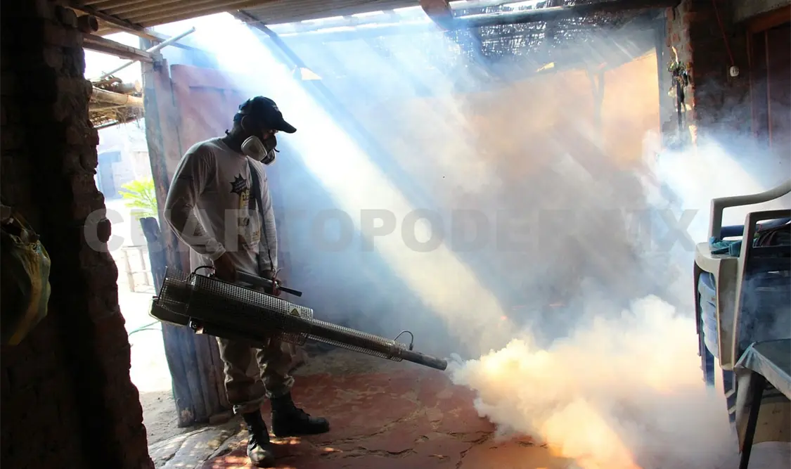 Las actividades se enfocarán en eliminar criaderos y controlar el mosquito en zonas prioritarias. CP