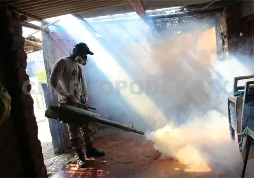 Refuerzan lucha contra el dengue ante lluvias
