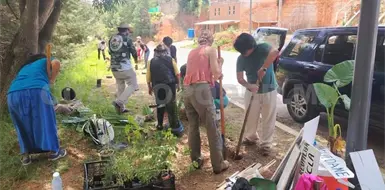 Cuxtitali realiza jornada de reforestación Cuxtitali realiza jornada de reforestación