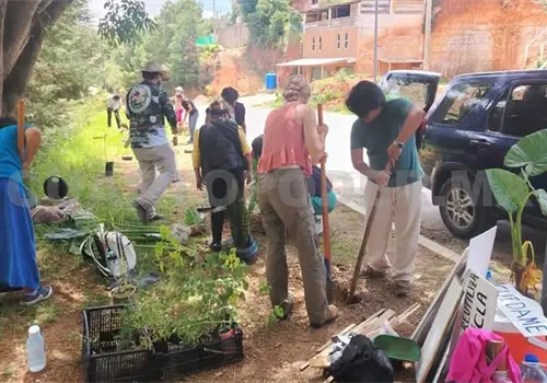 Cuxtitali realiza jornada de reforestaci&oacute;n