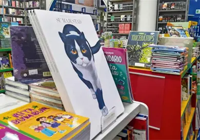 Librer&iacute;as piden respetar el precio &uacute;nico