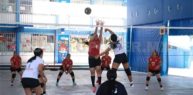 Panteras consigue dos triunfos clave