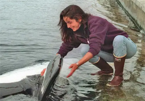 Netflix contará la historia de Keiko Netflix contará la historia de Keiko