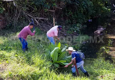 Operativos de limpieza en la subcuenca Tulij&aacute;