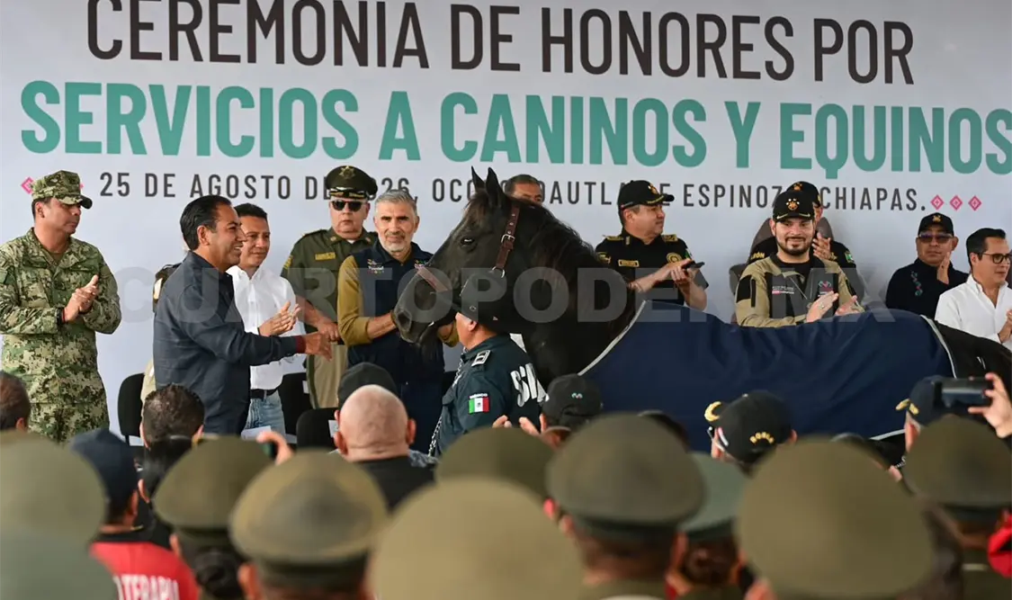 Los cuatro equinos, Guty, Güera, Chicago y Ariel, cumplieron su encomienda por la paz. Cortesía