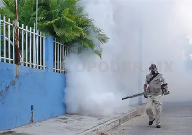 Detectan serotipo 2 del dengue; es más agresivo Detectan serotipo 2 del dengue; es más agresivo