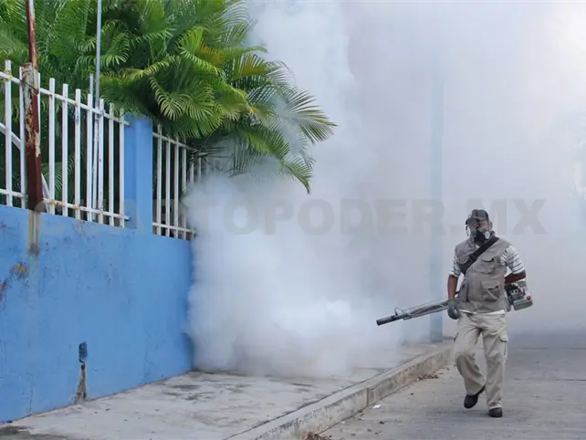 Detectan serotipo 2 del dengue; es más agresivo Detectan serotipo 2 del dengue; es más agresivo
