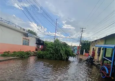 Tromba tira árboles y deja sin luz a viviendas Tromba tira árboles y deja sin luz a viviendas