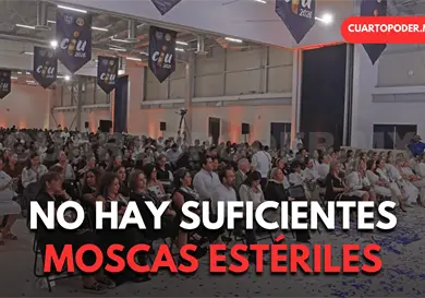 Gusano barrenador, una amenaza vigente Gusano barrenador, una amenaza vigente