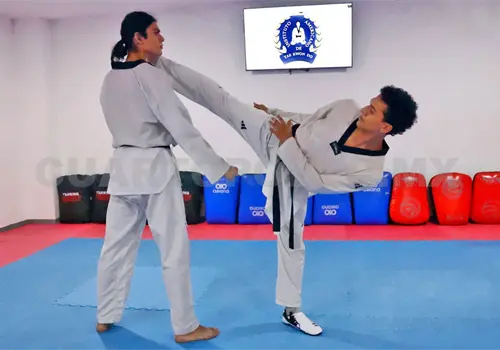 Taekwondo&iacute;nes representan al estado