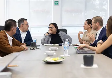 Se reúne Citlalli con representantes del PT y Verde Se reúne Citlalli con representantes del PT y Verde