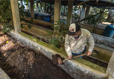 Escuelas de campo en transici&oacute;n agroecol&oacute;gica