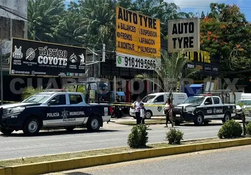 Roban en tienda de equipo t&aacute;ctico