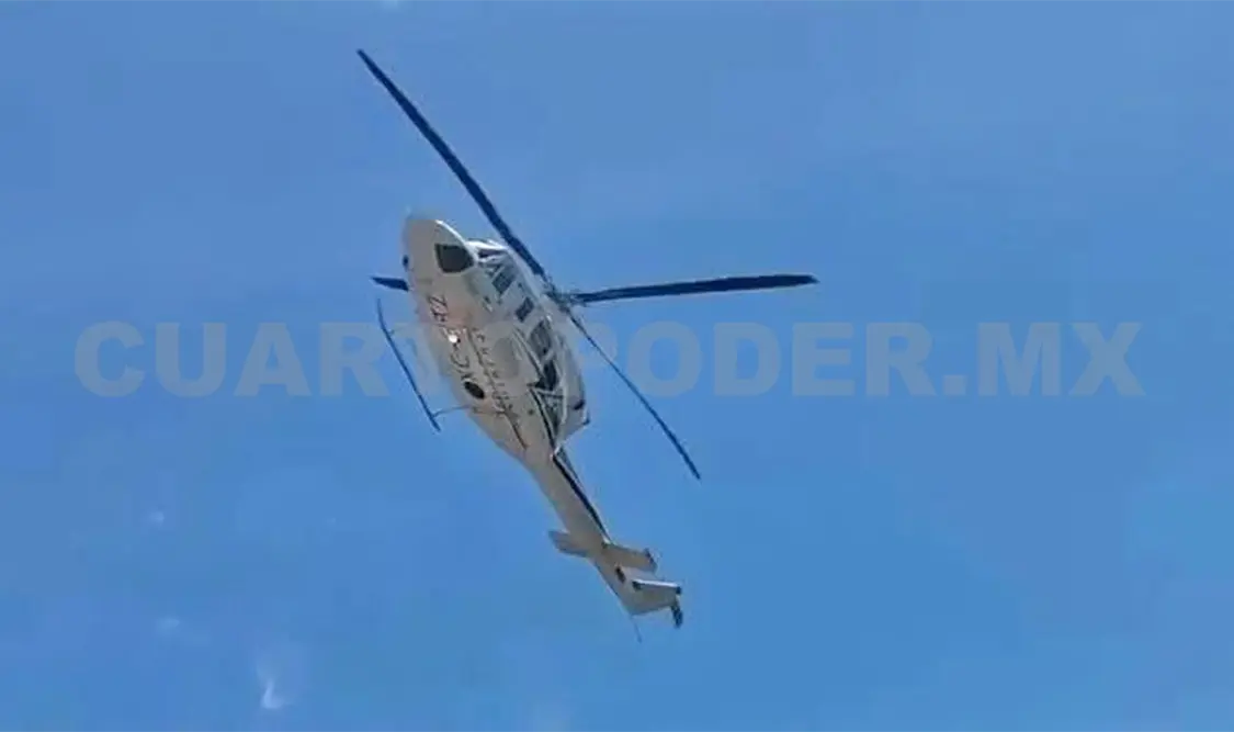 Un cruce de aves fue uno de los factores para que los pilotos hicieran la maniobra. Cortesía