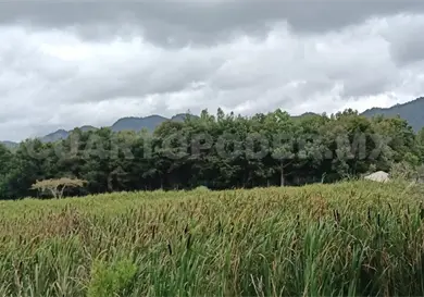 Manantiales y humedales al 40 % de capacidad