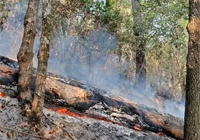 Combaten incendio forestal en Copainal&aacute;