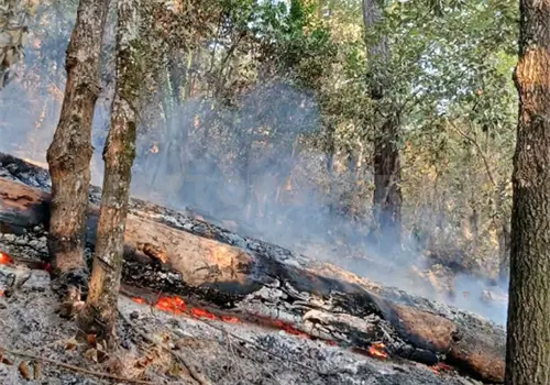 Combaten incendio forestal en Copainal&aacute;