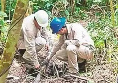 Detectan ordeña de hidrocarburo en ranchería Detectan ordeña de hidrocarburo en ranchería