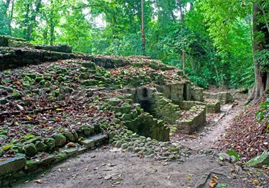 Descubren tamales en acr&oacute;polis de Palenque