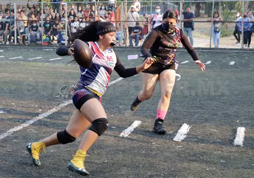 La ACHFA estructura selecciones estatales