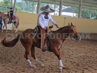 Chiapas Muy Charro se vive en Ocosingo Chiapas Muy Charro se vive en Ocosingo