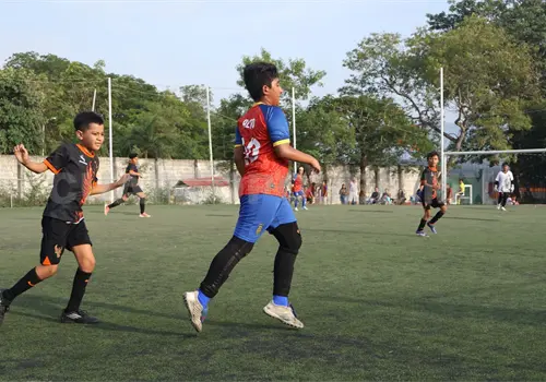 F&eacute;nix golea y vuela a la gran final