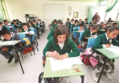 Se termina primaria sin comprender lo leído Se termina primaria sin comprender lo leído