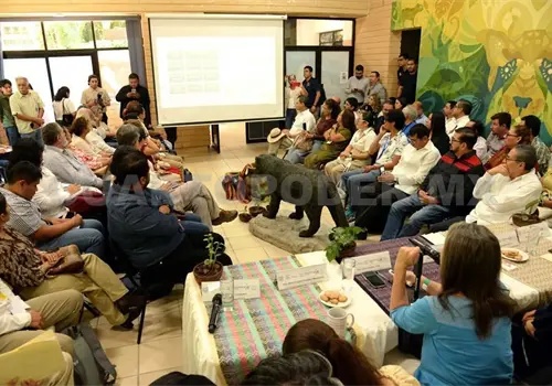Restauran 270 hect&aacute;reas de bosques en La Sepultura